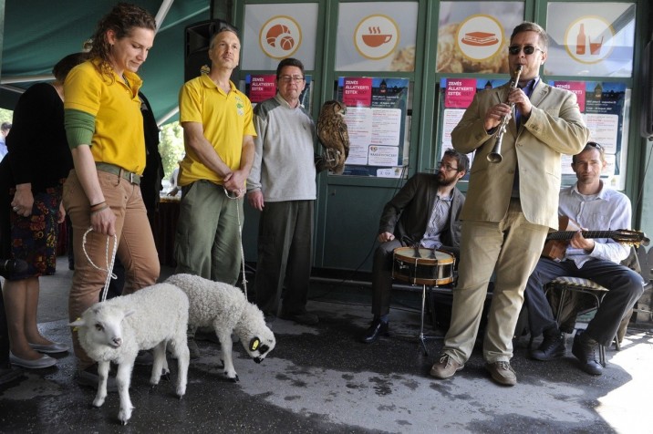 MTI Fotó: Kovács Attila