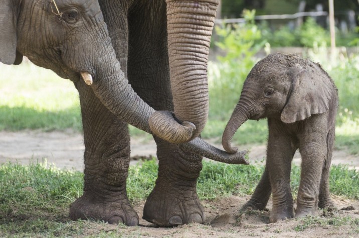 MTI Fotó: Balázs Attila